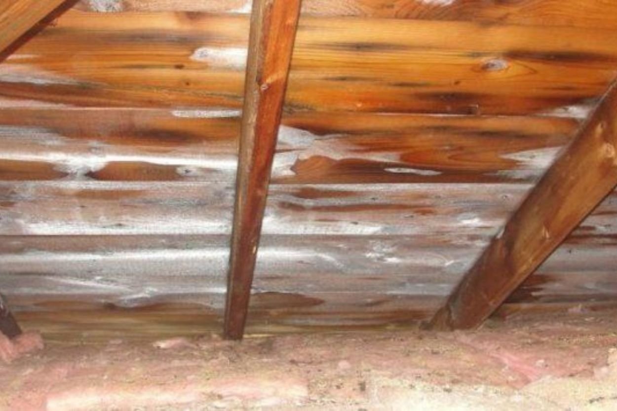 Wooden and insulated roof in an attic, illustrating the context of mold removal services in Jacksonville, FL.