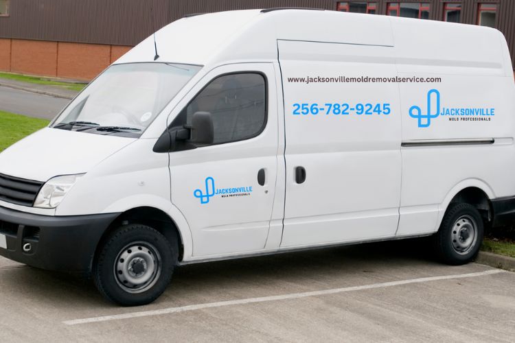 A white van stationed in a parking lot, indicating a mold removal service based in Jacksonville, FL.