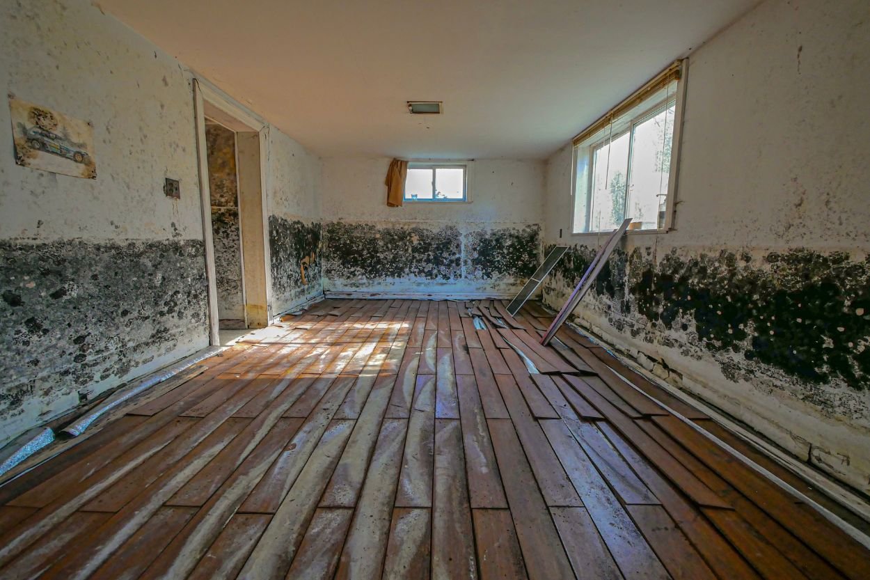 A vintage room showcasing wood floors and moldy walls, representing the demand for mold removal services in Jacksonville, FL.