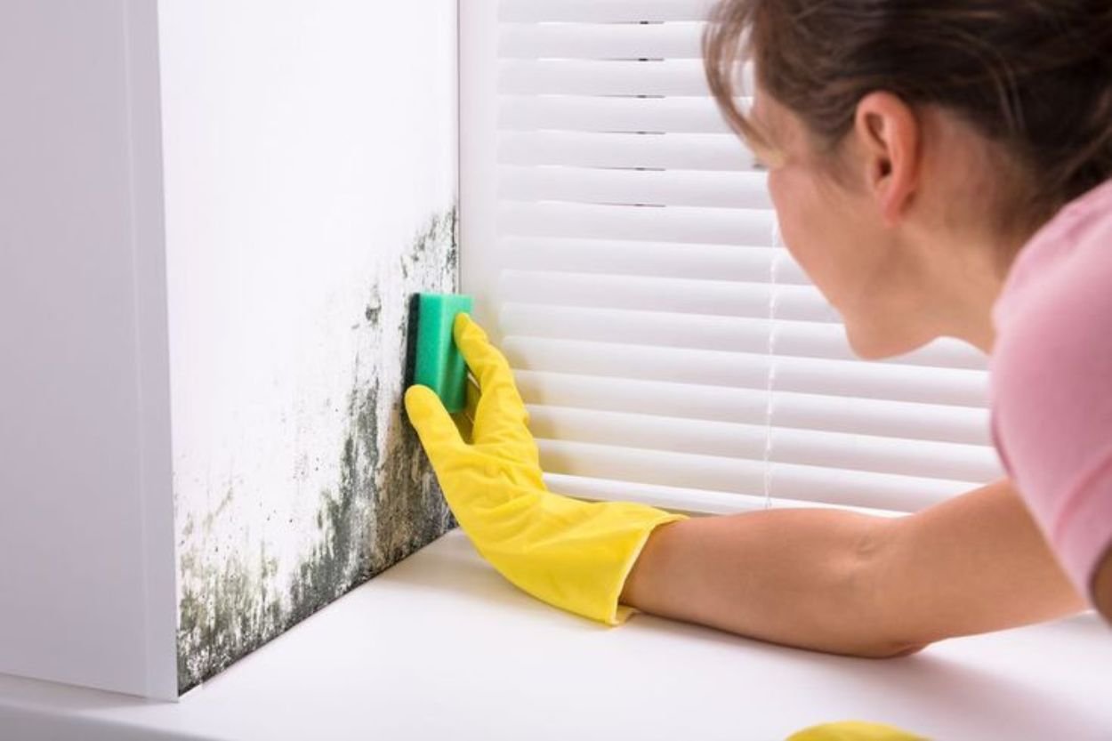 A woman using a cleaning tool on moldy windows, illustrating a wall mold removal service in Jacksonville, FL.
