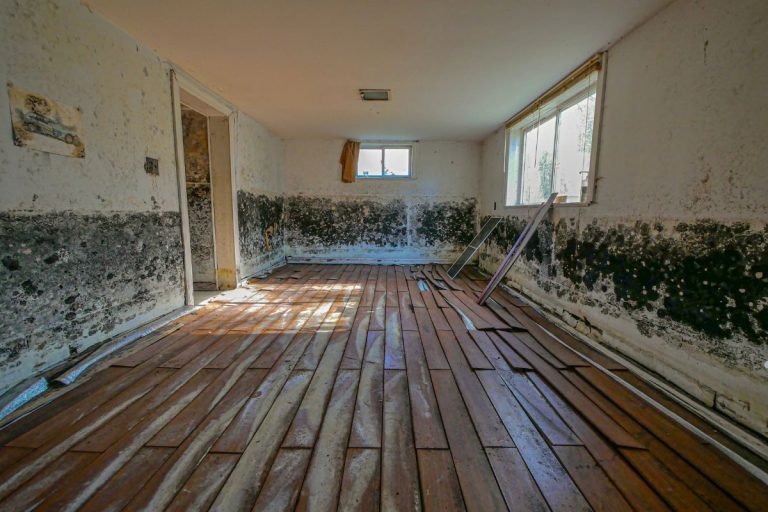 mold in wood