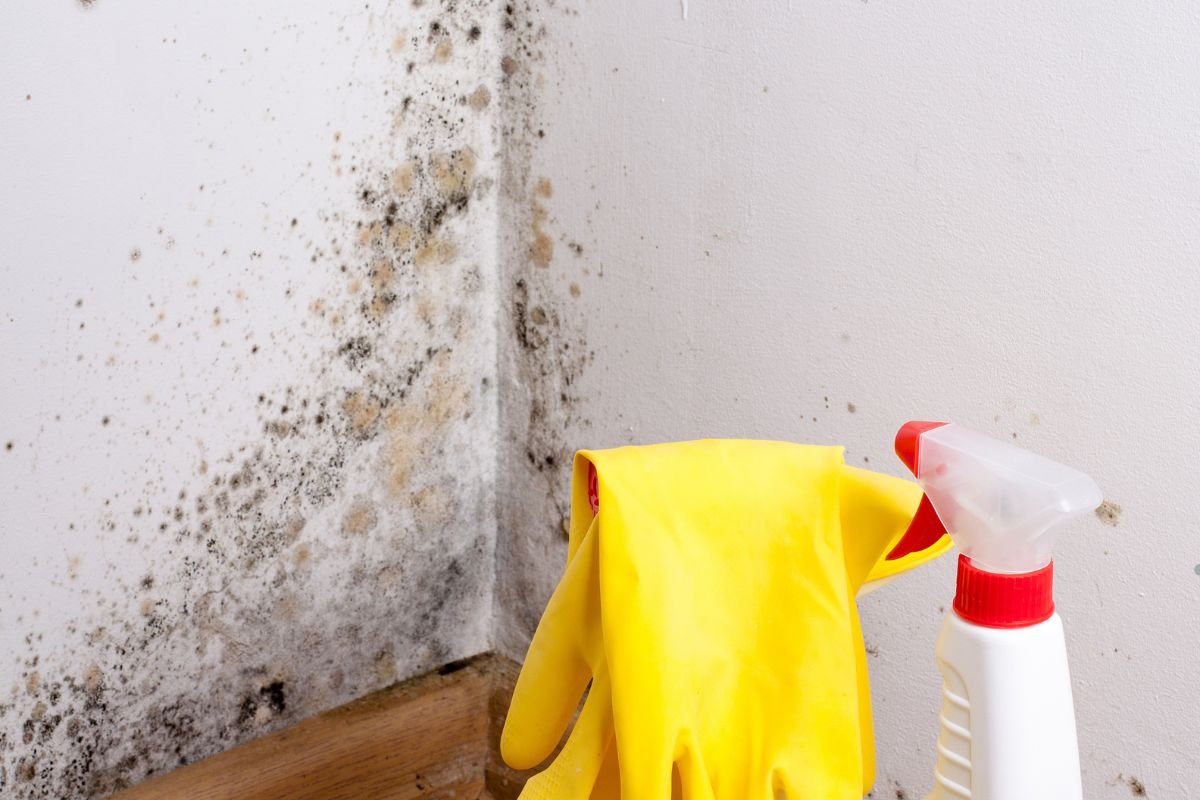 A professional team conducting mold remediation in a Miami home, wearing protective gear and using specialized equipment.