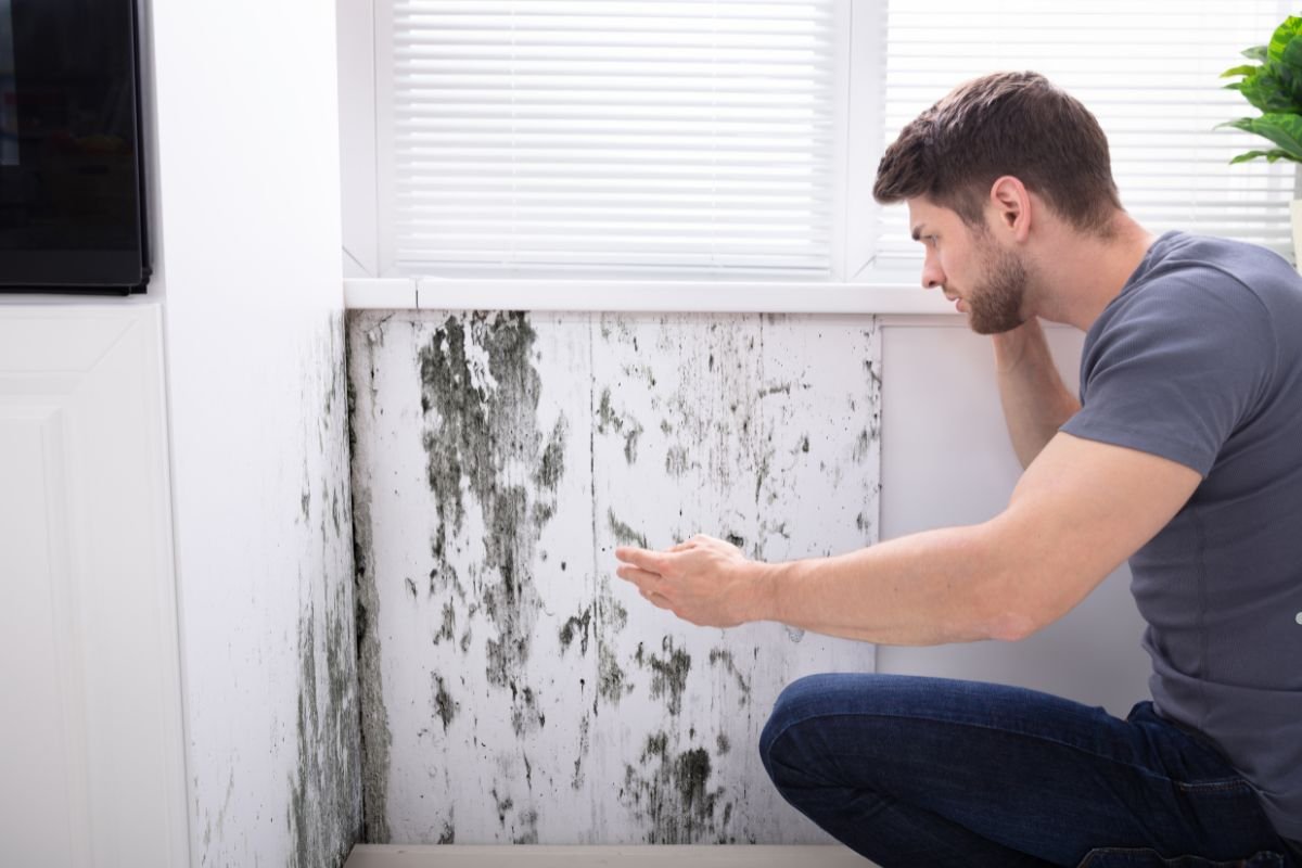 A man examines mold growing on a wall, showing concern for the potential health risks associated with it.